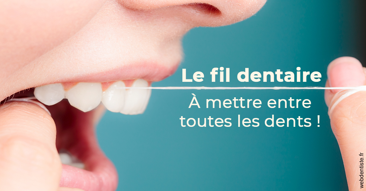 https://dr-boileau-cedric.chirurgiens-dentistes.fr/Le fil dentaire 2
