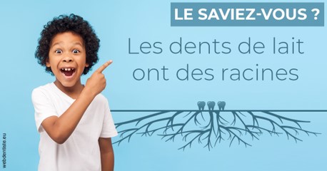 https://dr-boileau-cedric.chirurgiens-dentistes.fr/Les dents de lait 2