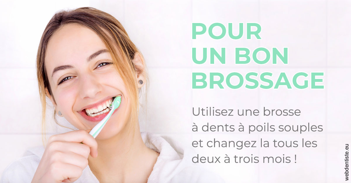https://dr-boileau-cedric.chirurgiens-dentistes.fr/Pour un bon brossage 2