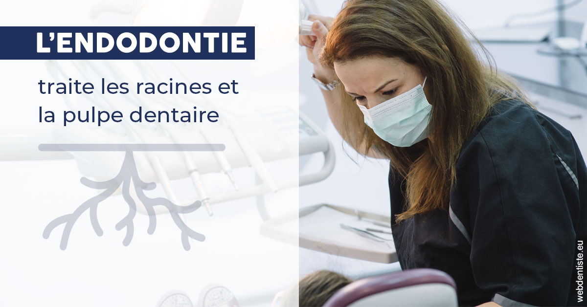 https://dr-boileau-cedric.chirurgiens-dentistes.fr/L'endodontie 1