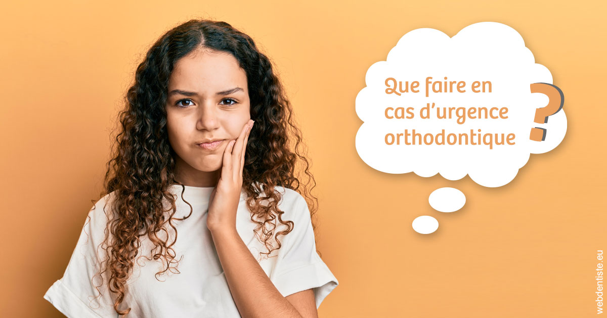 https://dr-boileau-cedric.chirurgiens-dentistes.fr/Urgence orthodontique 2