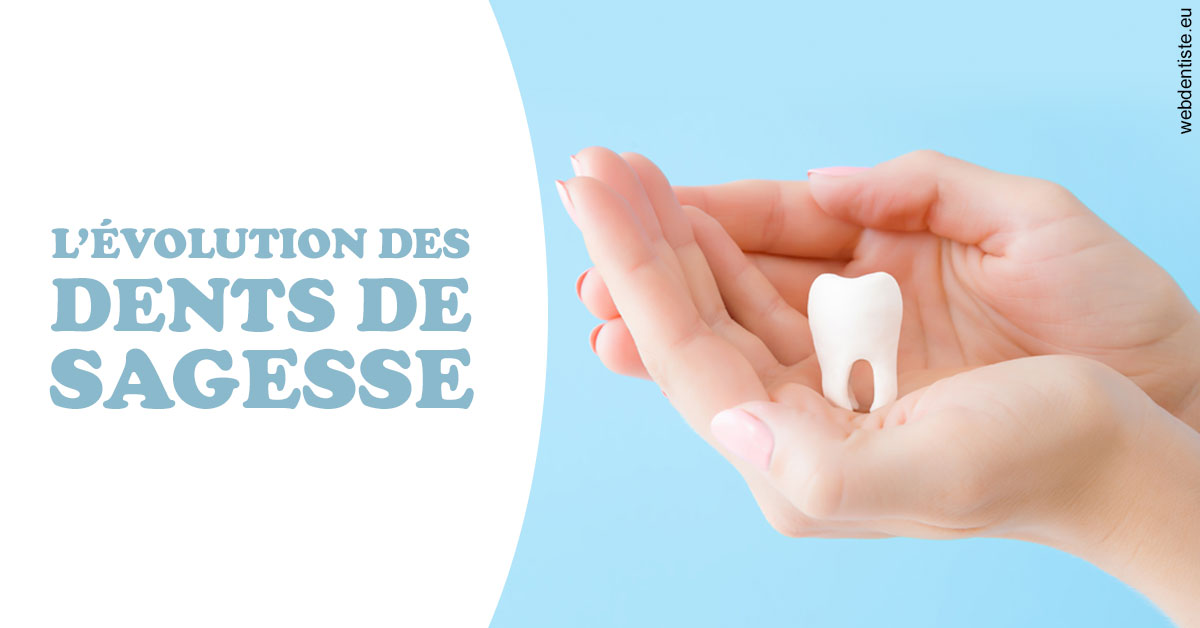 https://dr-boileau-cedric.chirurgiens-dentistes.fr/Evolution dents de sagesse 1