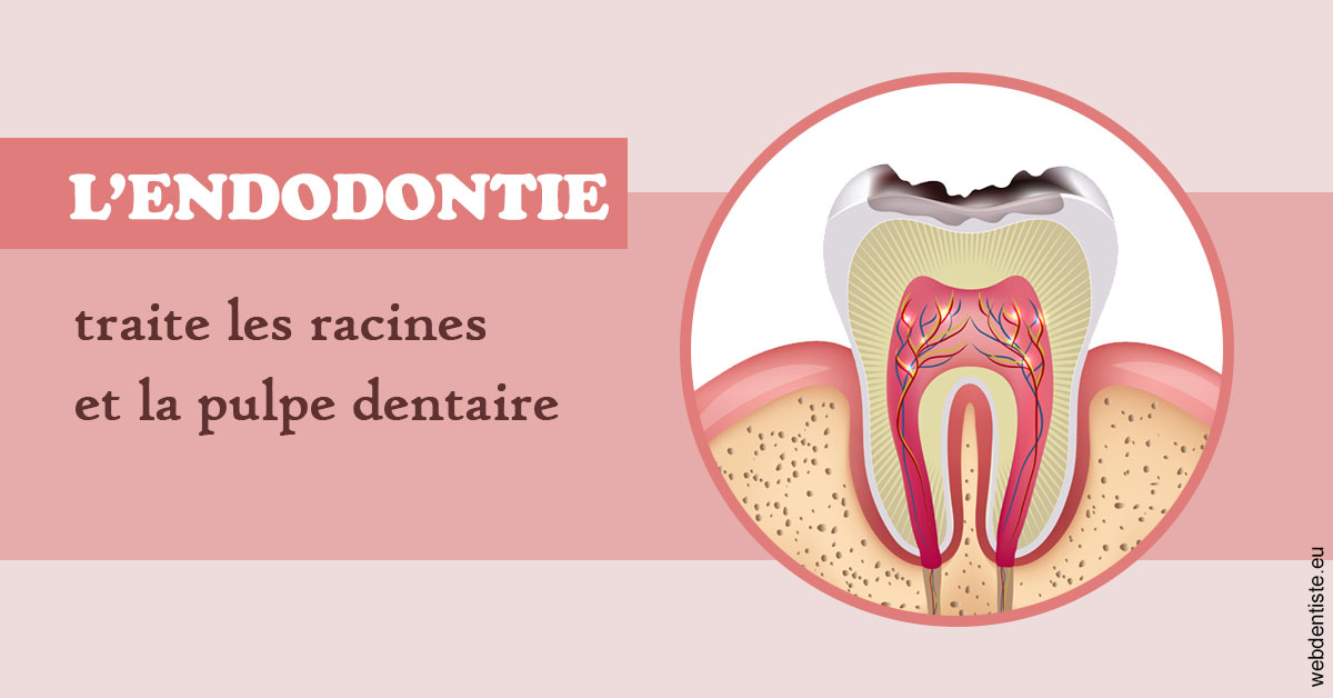 https://dr-boileau-cedric.chirurgiens-dentistes.fr/L'endodontie 2