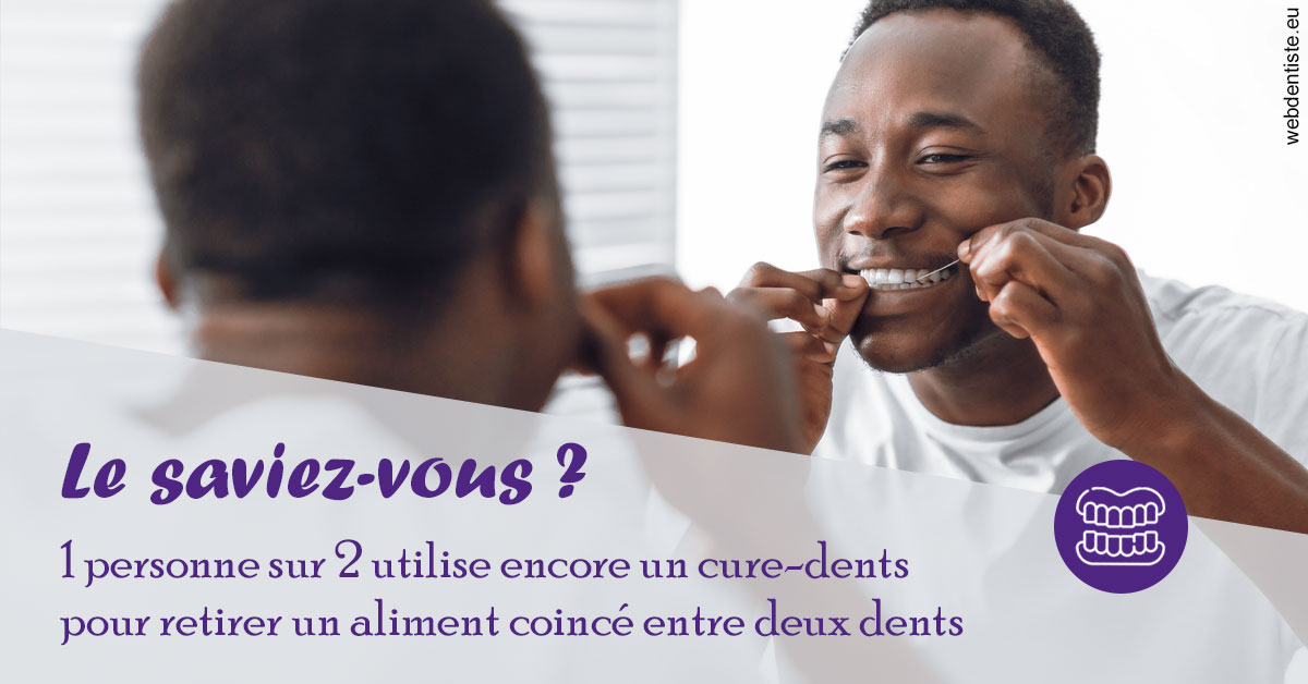 https://dr-boileau-cedric.chirurgiens-dentistes.fr/Cure-dents 2