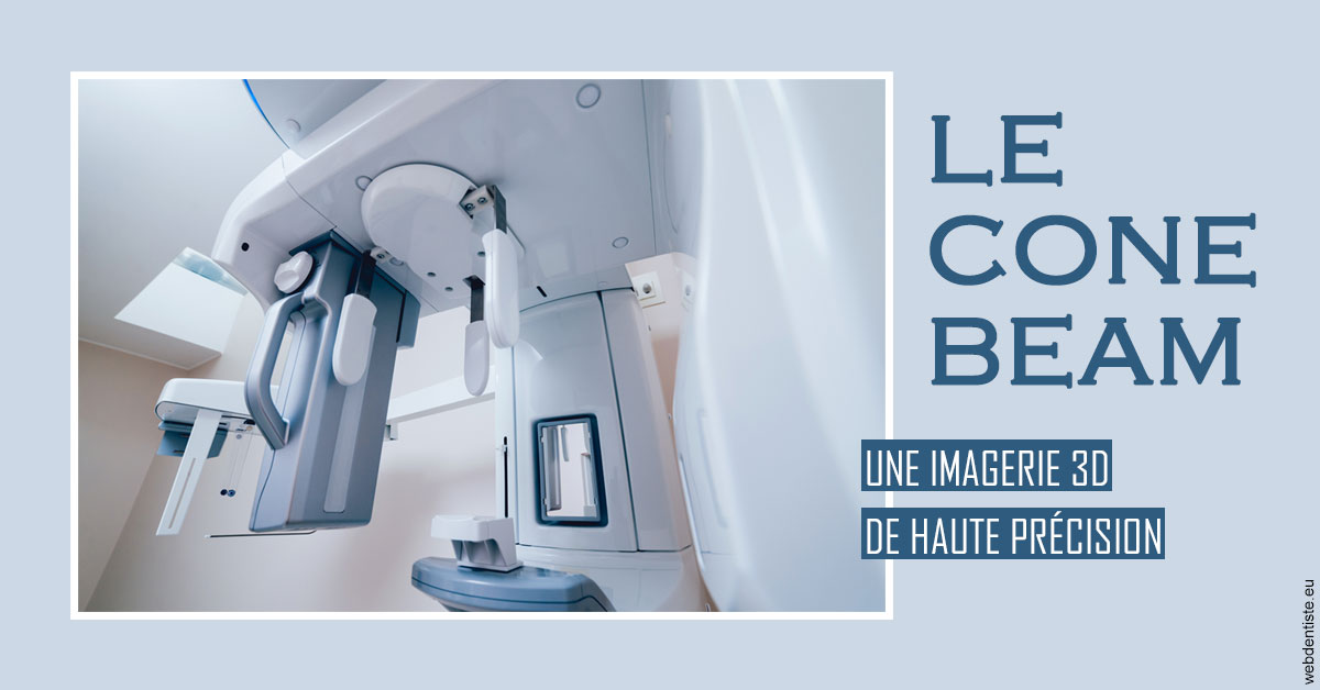 https://dr-boileau-cedric.chirurgiens-dentistes.fr/T2 2023 - Cone Beam 2