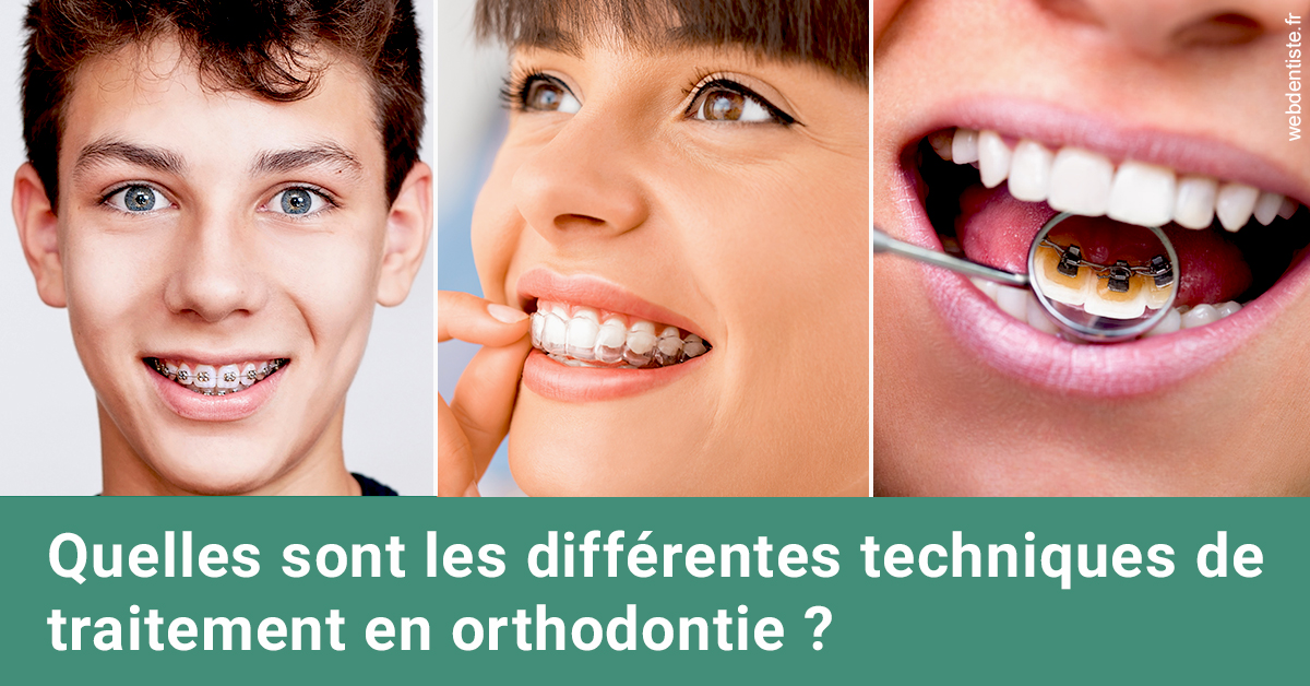 https://dr-boileau-cedric.chirurgiens-dentistes.fr/Les différentes techniques de traitement 2