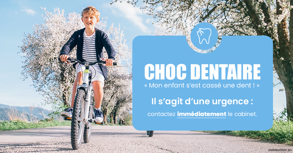 https://dr-boileau-cedric.chirurgiens-dentistes.fr/T2 2023 - Choc dentaire 1
